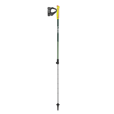 Kepikõnni kepid LEKI Walker XS 80-110 cm