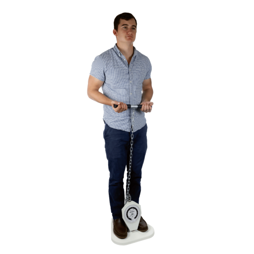 Standarta platforma Dinamometrs mugurkaula, kāju un krūšu muskuļiem Baseline Back-Leg-Chest Dynamometer - Standard Platform