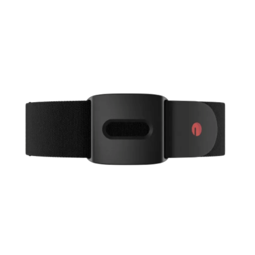 Siksniņa Polar Verity Sense Arm band M–XXL