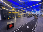 Grīdas segums ar mākslīgo zāli Trackz Uni Indoor 10 × 2 m