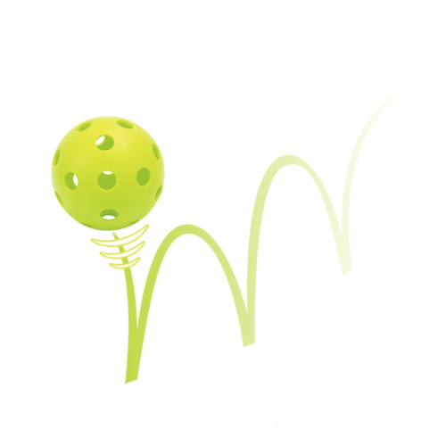 Piklbola komplekts Pickleball Set inSPORTline