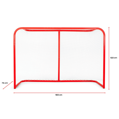 Lēdo hokeja vārti Court Icehockey Goal