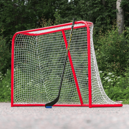 Lēdo hokeja vārti Court Icehockey Goal