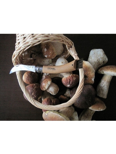 Opinel Nr. 8 nazis sēņošanai
