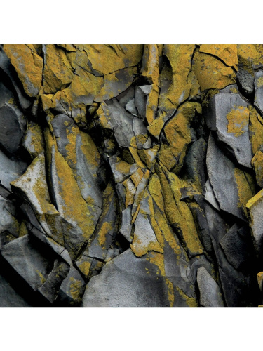 Skalas Mūžīgās Pieredzes Kakls