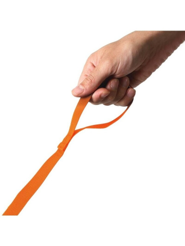 Bērnu mugursoma Littlelife Lion Toddler Backpack