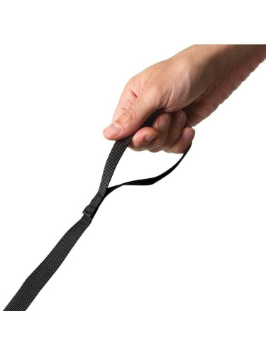 Bērnu mugursoma Littlelife Dinosaur Toddler Backpack