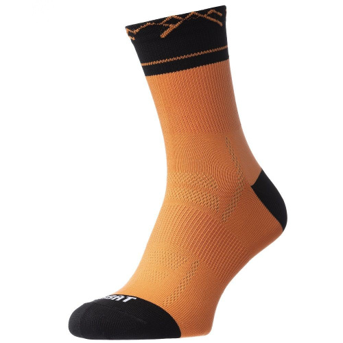 Košuļvāki Kojām Turbat Summer Trip