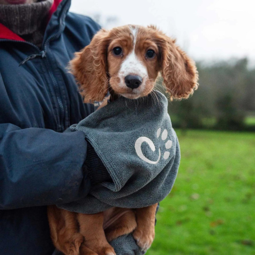 Dviķu dvielis Mountain Paws Muddy Dog Towel