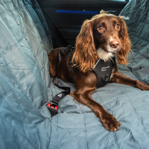 Suņu drošības jostas Mountain Paws Dog Seat Belt