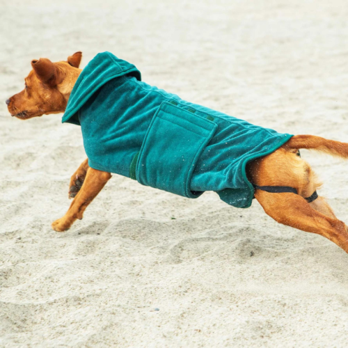 Kalnu Paws Sunu halāts