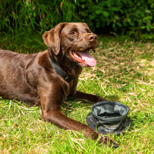 Kuģis suņiem no Mountain Paws Сollapse suņu kauss