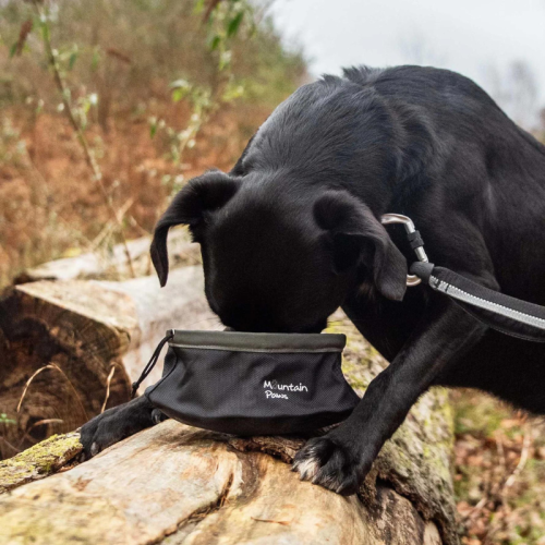 Kalnu Pote kucēnu ēdamkaukam nozīmē "Bļoda izlietšanai".