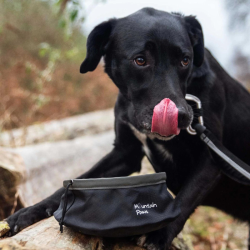 Kalnu Pote kucēnu ēdamkaukam nozīmē "Bļoda izlietšanai".