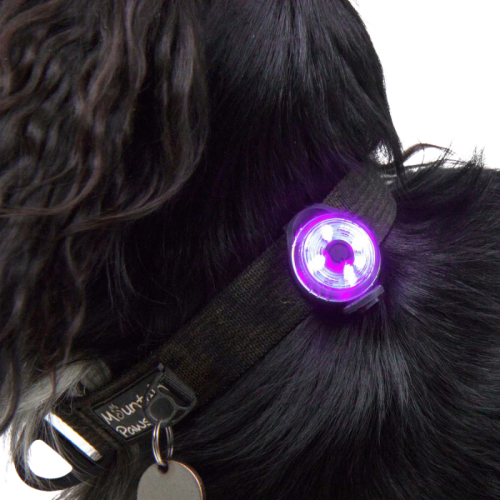 Dzīvnieku lukturis Mountain Paws Dog Safety Light 2 gabali