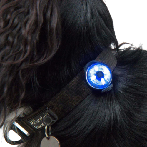 Dzīvnieku lukturis Mountain Paws Dog Safety Light 2 gabali