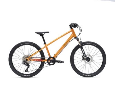 Vaast Y/1 KALNA jauniešu velosipēds, 24'', Oranža