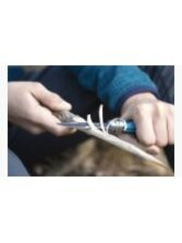 Bērnu nazis Opinel Outdoor Junior Nr. 7