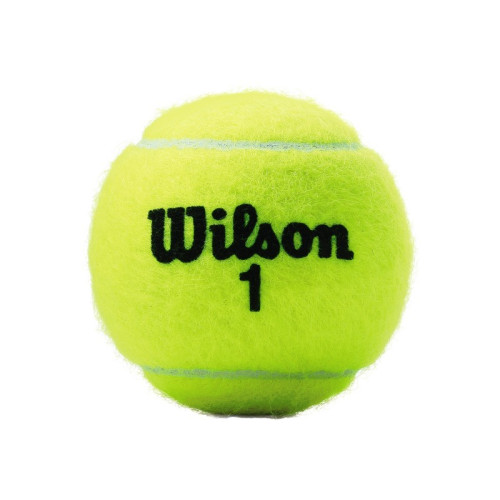Wilson Championship Extra Duty XD Tenisa bumbiņas – 3 gab.