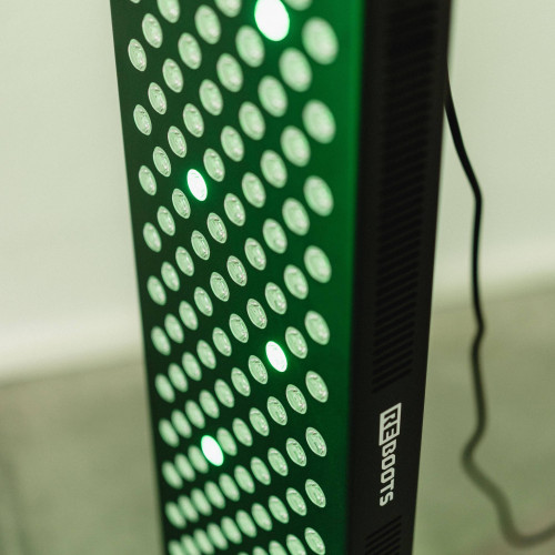 Infrasarkanās gaismas lampa REBOOTS Relight Pro